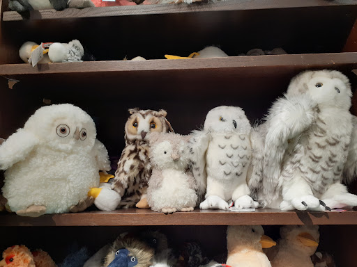 Toy Store «Terra Toys», reviews and photos, 2438 W Anderson Ln, Austin, TX 78757, USA