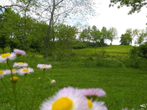 Golf Course «Seneca Golf Course», reviews and photos, 2300 Pee Wee Reese Rd, Louisville, KY 40205, USA