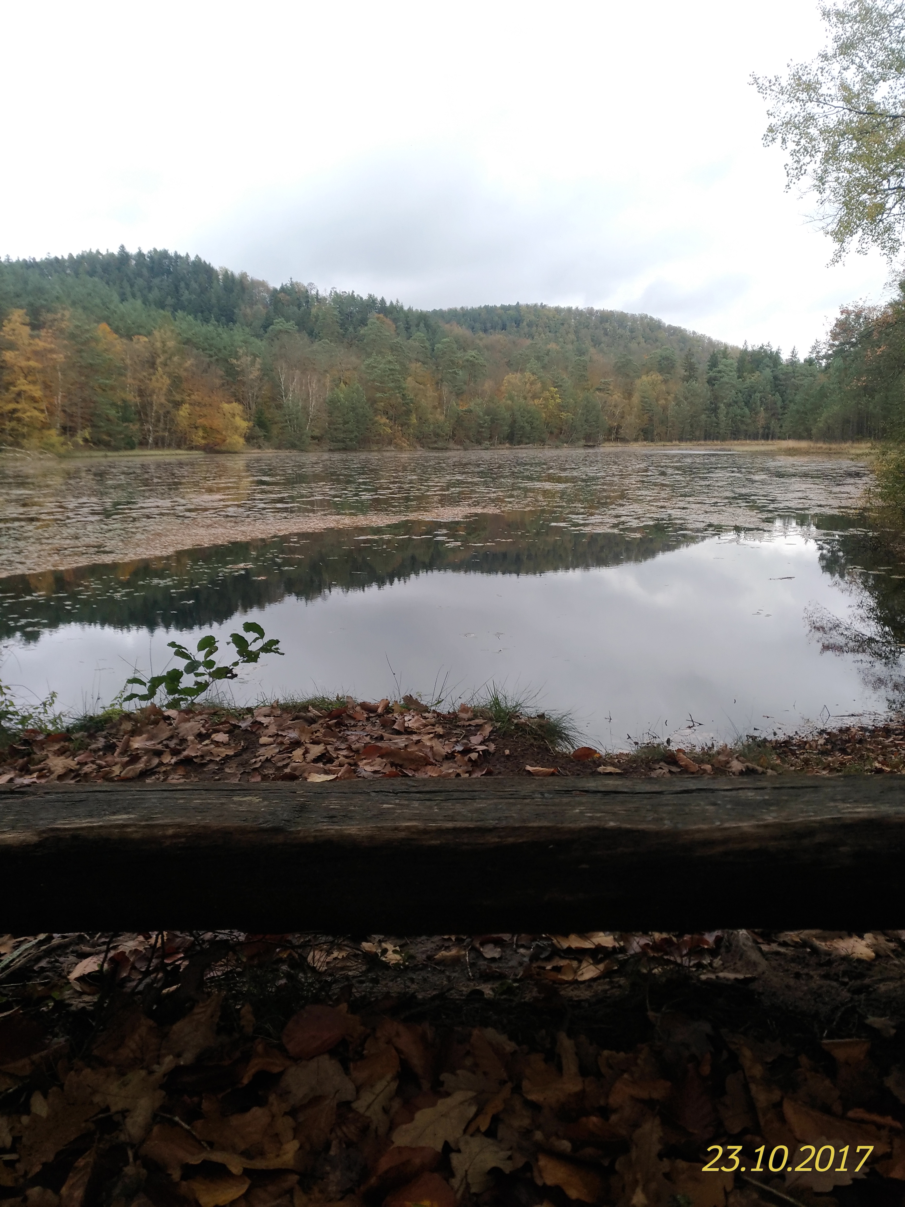 Photo n° 10 de l'avis de David.7 fait le 09/03/2019 à 02:19