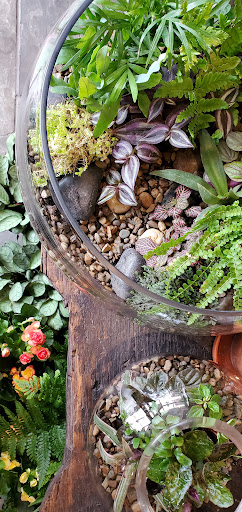 Florist «Toadflax Inc», reviews and photos, 5500 Walnut St, Pittsburgh, PA 15232, USA