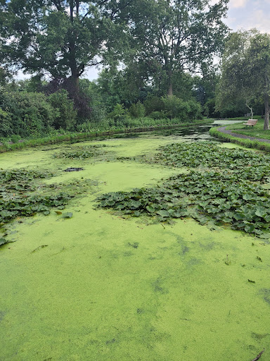 Park «Memorial Park», reviews and photos, 580 Valley St, Maplewood, NJ 07040, USA