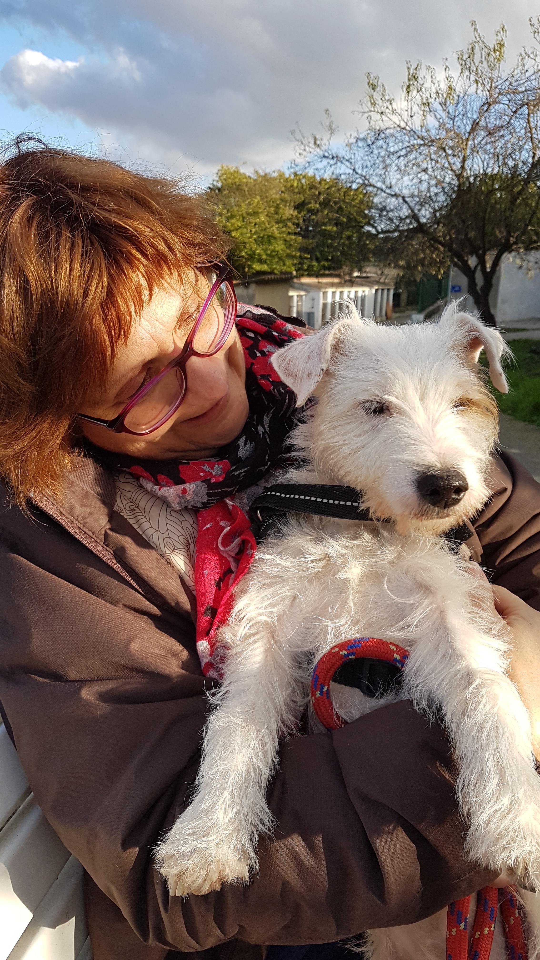 Photo n° 1 de l'avis de Nathalie.e fait le 27/11/2019 à 16:35