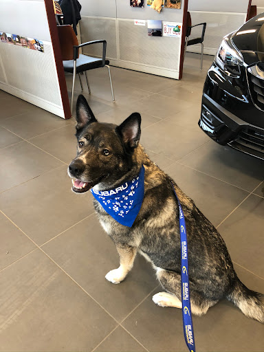 Subaru Dealer «Dunning Subaru», reviews and photos, 3771 Jackson Rd, Ann Arbor, MI 48103, USA