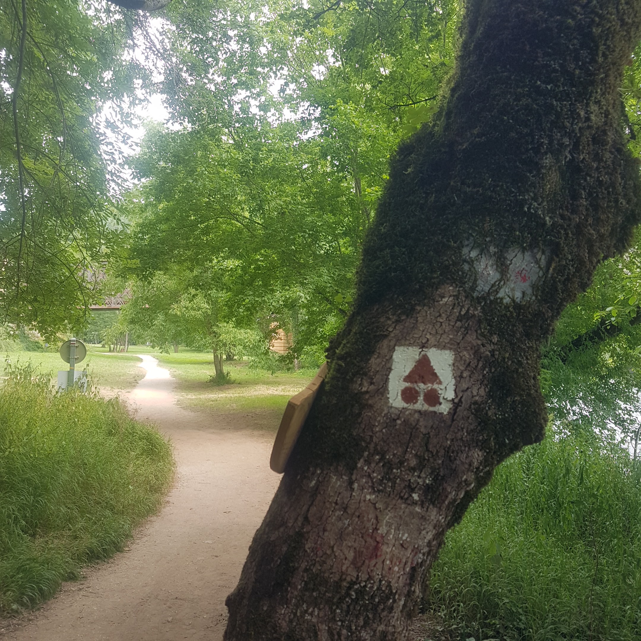 Photo n° 10 de l'avis de Jean.i fait le 10/12/2018 à 13:26