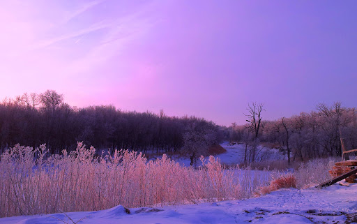 Tack Shop «3 Gems Tack & Stables», reviews and photos, 1175 85th Ave NW, Moorhead, MN 56560, USA