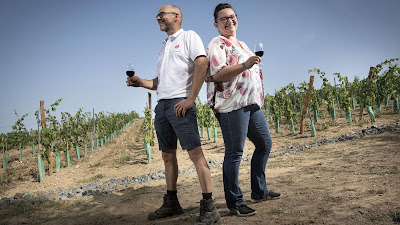 Domaine Bodineau Producteur de Coteaux du Layon, Cabernet d'Anjou et Crémant de Loire à Doué-en-Anjou