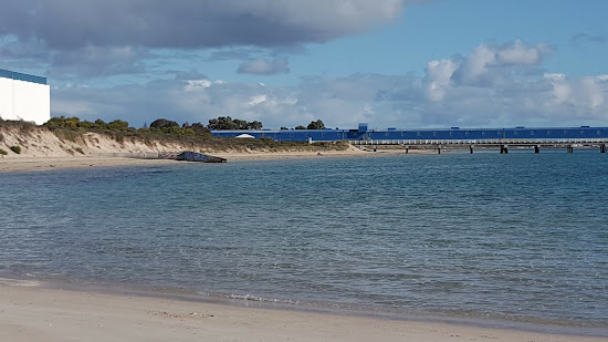 Kwinana Dog Beach