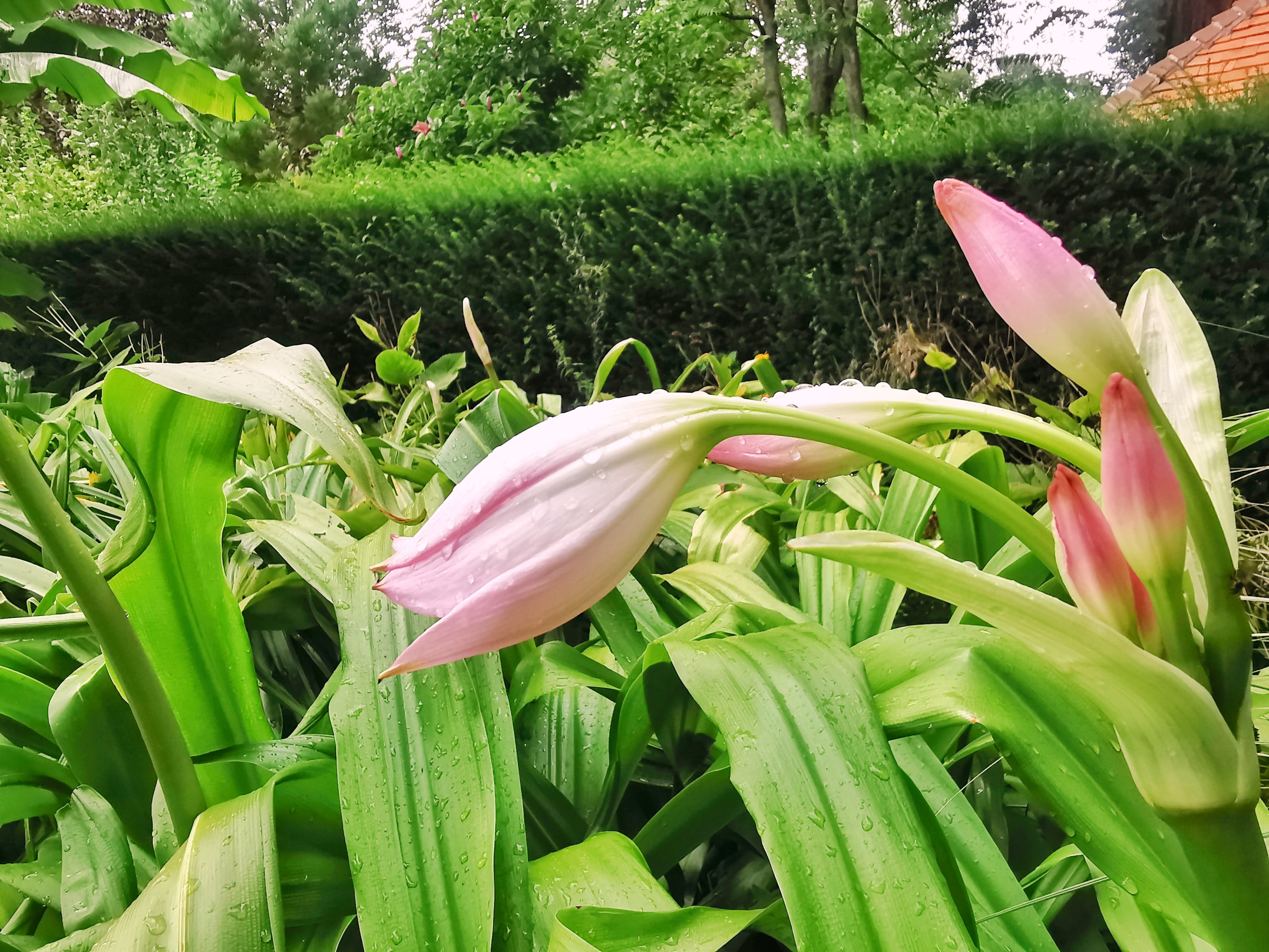 Photo n° 8 de l'avis de Eléonore.i fait le 26/08/2020 à 05:52