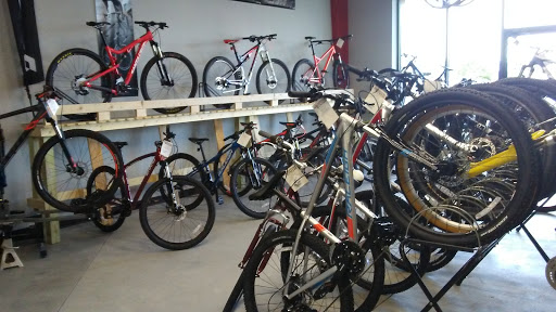 Store «Adventure Cycles», reviews and photos, 7400 Spout Springs Rd #202, Flowery Branch, GA 30542, USA