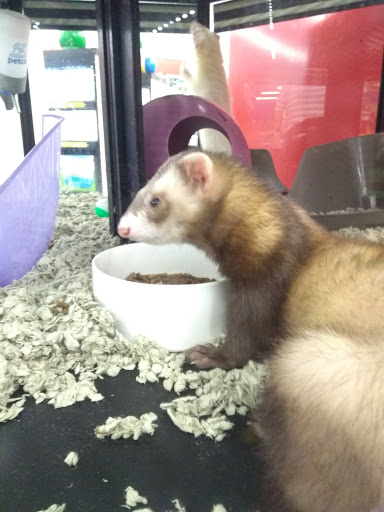 Pet Supply Store «Petco Animal Supplies», reviews and photos, 10 Waterfront Pl, Port Chester, NY 10573, USA