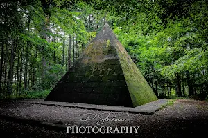 Garvagh Forest image