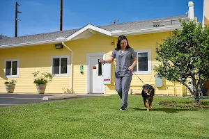 Kakaako Pet Hospital image