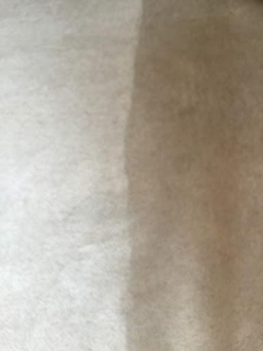 Carpet Cleaning Service «TLC Carpet and Upholstery Cleaning», reviews and photos, 6380 W 10th St #7, Greeley, CO 80634, USA