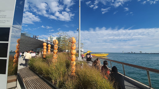 Imax Theater «AMC Navy Pier IMAX», reviews and photos, 700 E Grand Ave, Chicago, IL 60611, USA