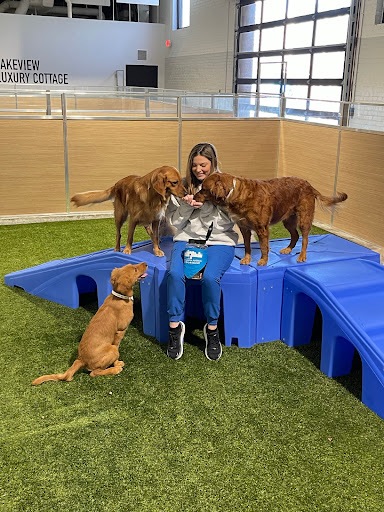 Birmingham Animal Hospital + Resort image