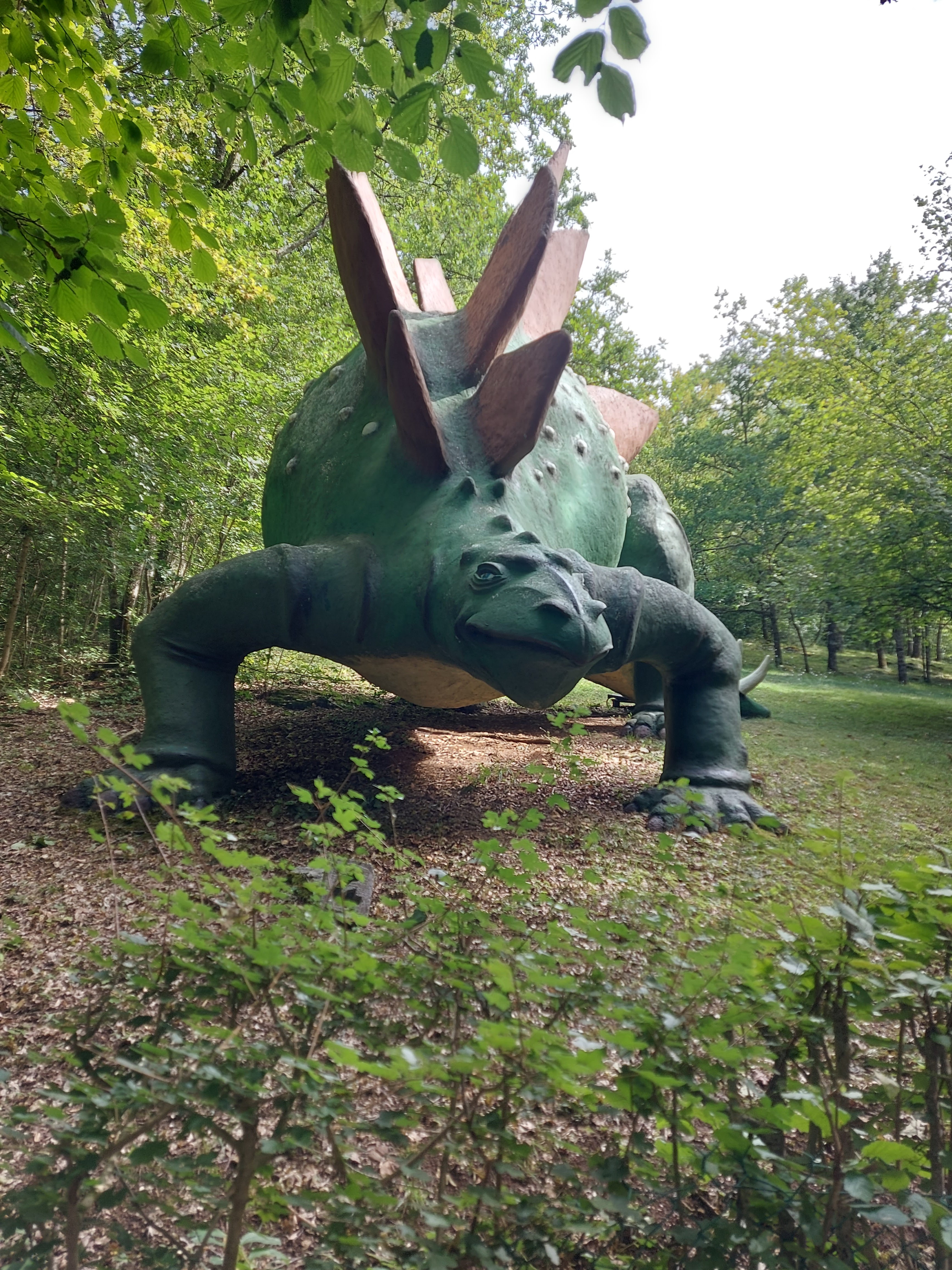 Photo n° 5 de l'avis de martine.a fait le 13/08/2023 à 18:55