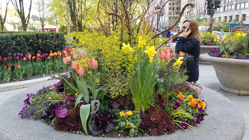 Cultural Center «Chicago Cultural Center», reviews and photos, 78 E Washington St, Chicago, IL 60602, USA