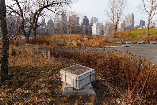 Park «Franklin D. Roosevelt Four Freedoms Park», reviews and photos, 1 FDR Four Freedoms Park, Roosevelt Island, NY 10044, USA