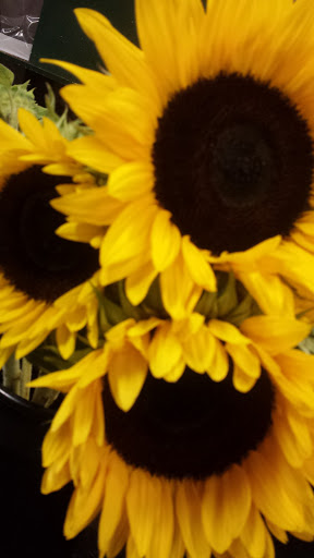 Florist «Ridley Park Florist», reviews and photos, 17 E Hinckley Ave #19, Ridley Park, PA 19078, USA