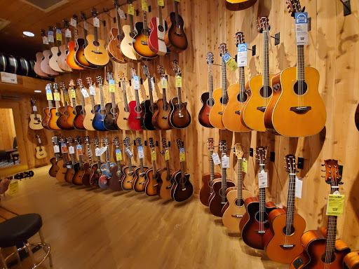 Guitar stores Tampa