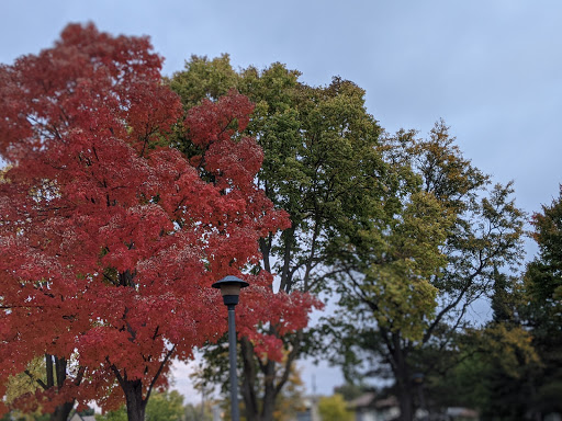 Park «Longfellow Park», reviews and photos, 3435 36th Ave S, Minneapolis, MN 55406, USA