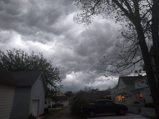 Park «Live Oaks Park», reviews and photos, 904 14th St, Port Royal, SC 29935, USA