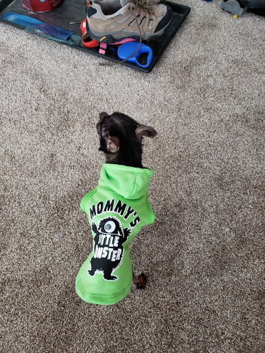 Pet Store «Pet Valu», reviews and photos, 21 Bethel Rd #5, Somers Point, NJ 08244, USA