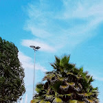 Photo n°1 de l'avis de Nicoleta.a fait le 04/08/2020 à 12:39 sur le  Oasi Bianca Resort à Codigoro