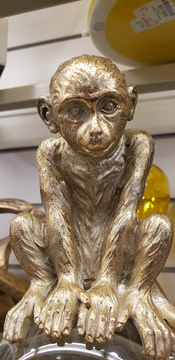 Department Store «HomeGoods», reviews and photos, 1109 Brook Forest Ave, Shorewood, IL 60431, USA