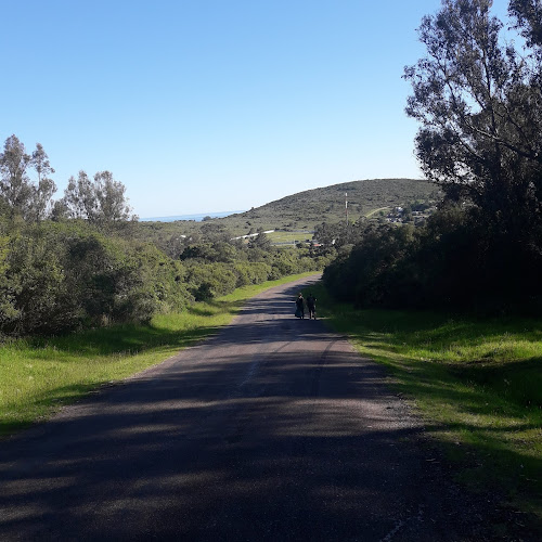 Opiniones de CAMPING CERRO DEL TORO en Maldonado - Restaurante