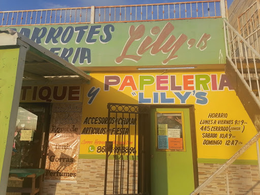 Papelería lily's