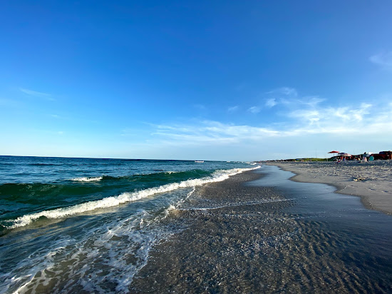 Island Beach State Park
