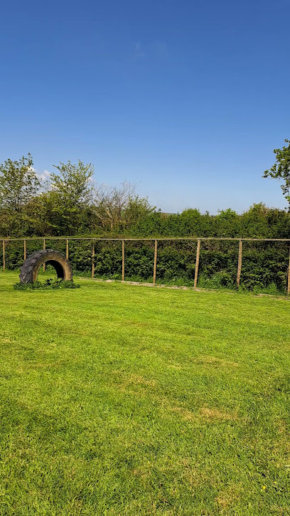 Beech Tree Kennels