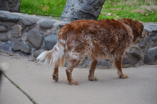National Park «Montezuma Castle National Monument», reviews and photos, Montezuma Castle Rd, Camp Verde, AZ 86335, USA