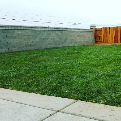 Caligreen Landscaping Inc. image