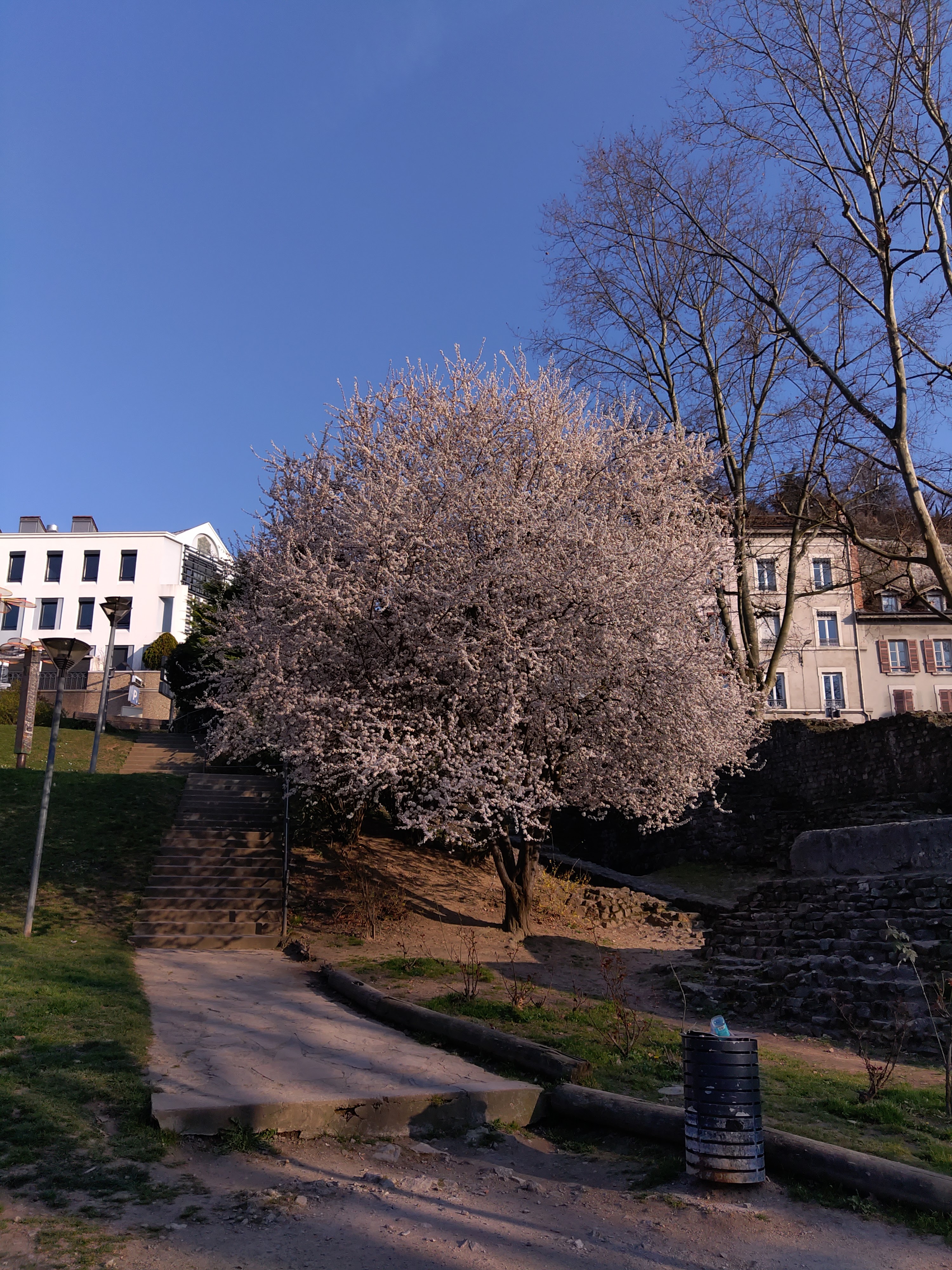 Photo n° 1 de l'avis de Dm.s fait le 07/03/2022 à 23:54