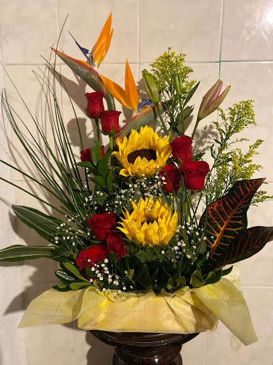 Floreria Violeta – Monterrey