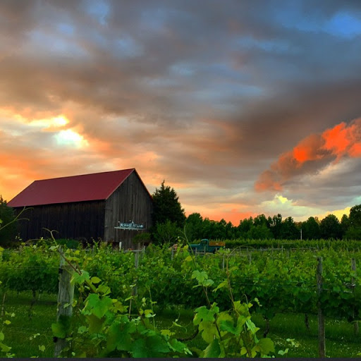 Winery «Great Frogs Winery», reviews and photos, 3218 Harness Creek Rd, Annapolis, MD 21403, USA