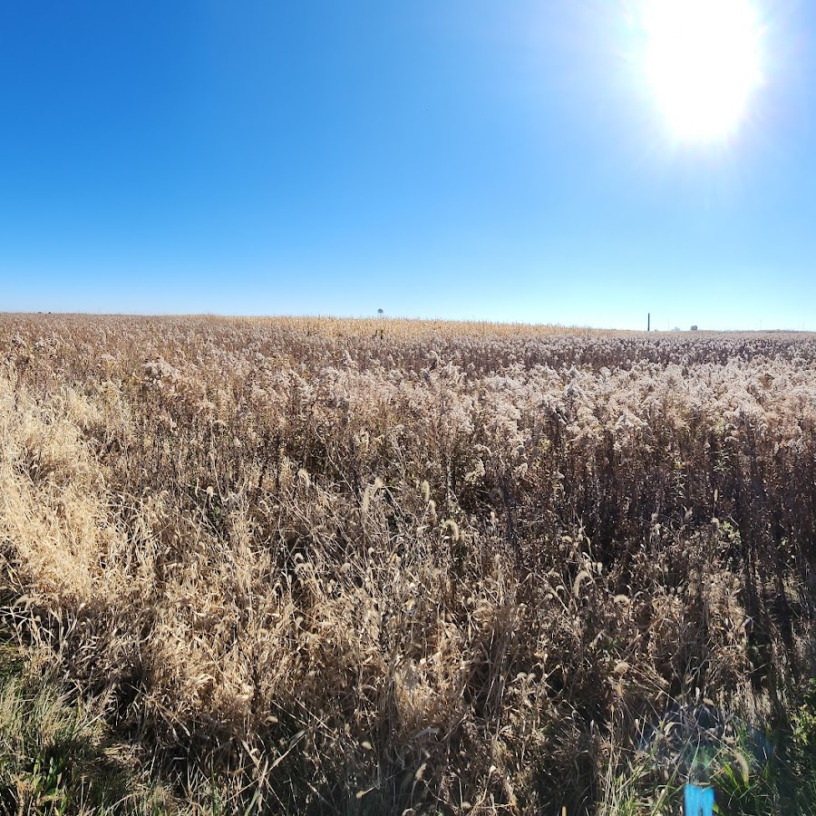Prairie Bluff Preserve