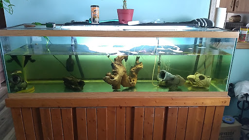 Pet Store «Forest Lake Pets», reviews and photos, 120 Lake St N, Forest Lake, MN 55025, USA