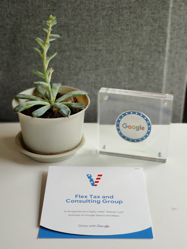 Flex Tax and Consulting Group image