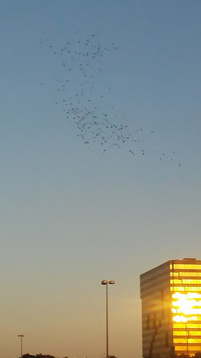 Movie Theater «Premiere Cinemas Renaissance 15», reviews and photos, 12300 North Fwy #400, Houston, TX 77060, USA