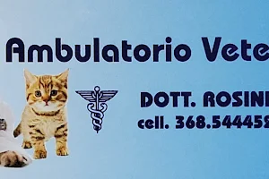 Ambulatorio Veterinario Rosini Dott. Emidio image