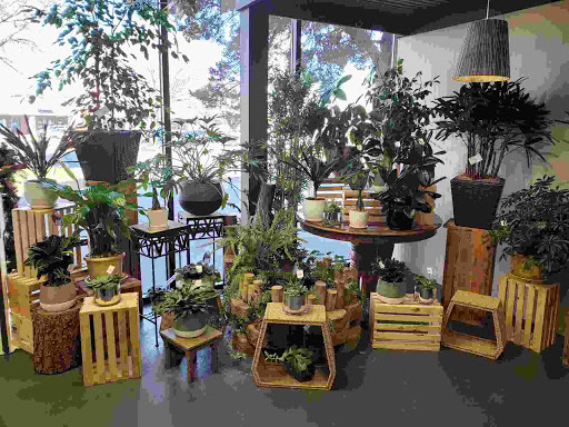 Florist «Sparks Florist®», reviews and photos, 5000 Smithridge Dr Suite C3, Reno, NV 89502, USA