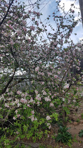 Park «Vermijo Park», reviews and photos, 2601 W Vermijo Ave, Colorado Springs, CO 80904, USA