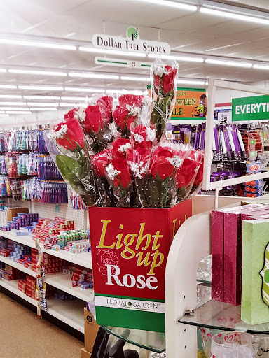 Dollar Store «Dollar Tree», reviews and photos, 1925 Pawtucket Ave, East Providence, RI 02914, USA