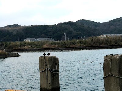 日脚墓地