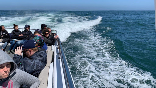 Whale watching tour agency Vallejo