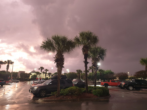 Grocery Store «Winn-Dixie», reviews and photos, 981 US-98, Destin, FL 32541, USA