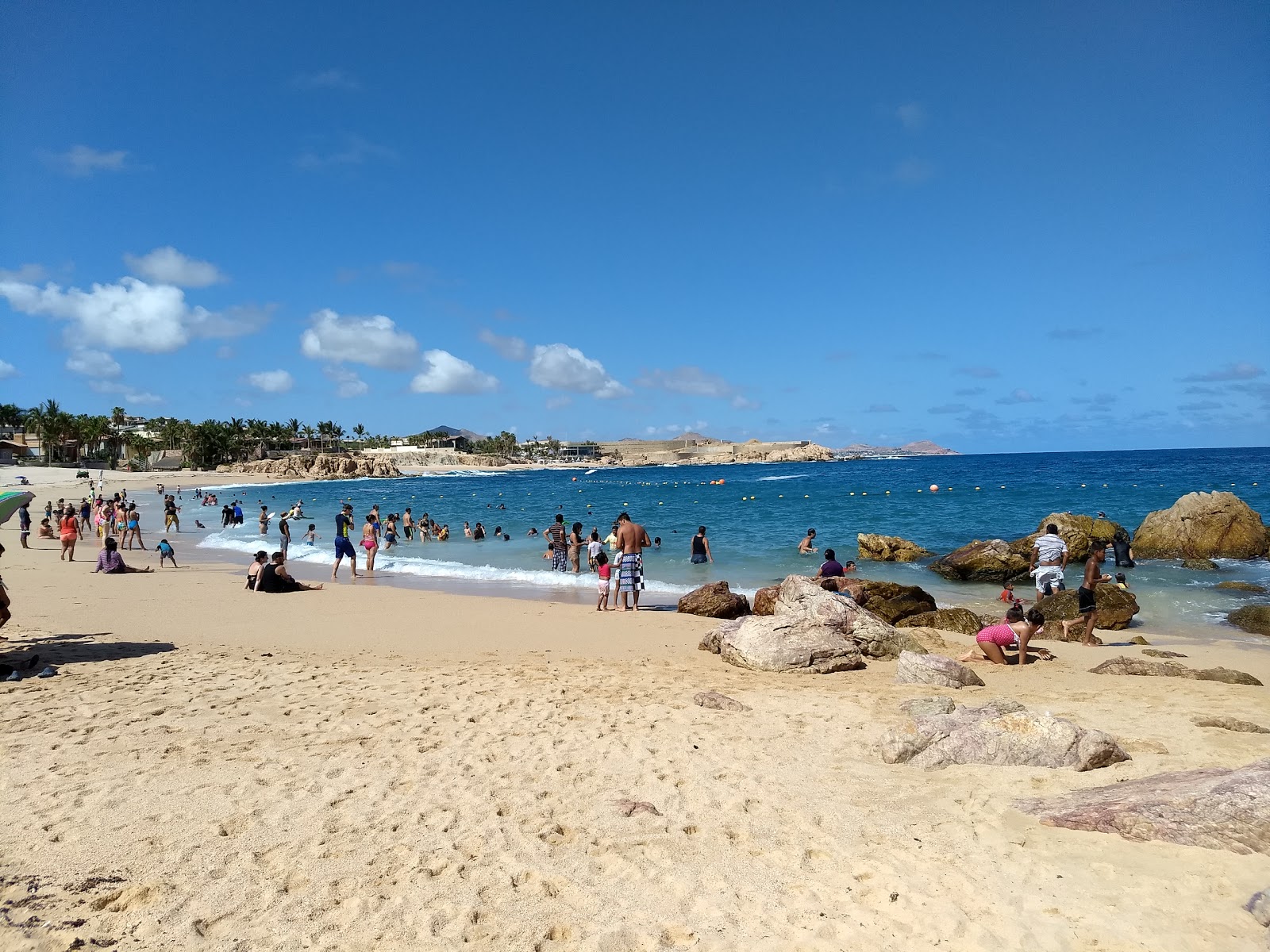 Playa el Chileno photo #7